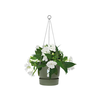 Greenville hanging basket