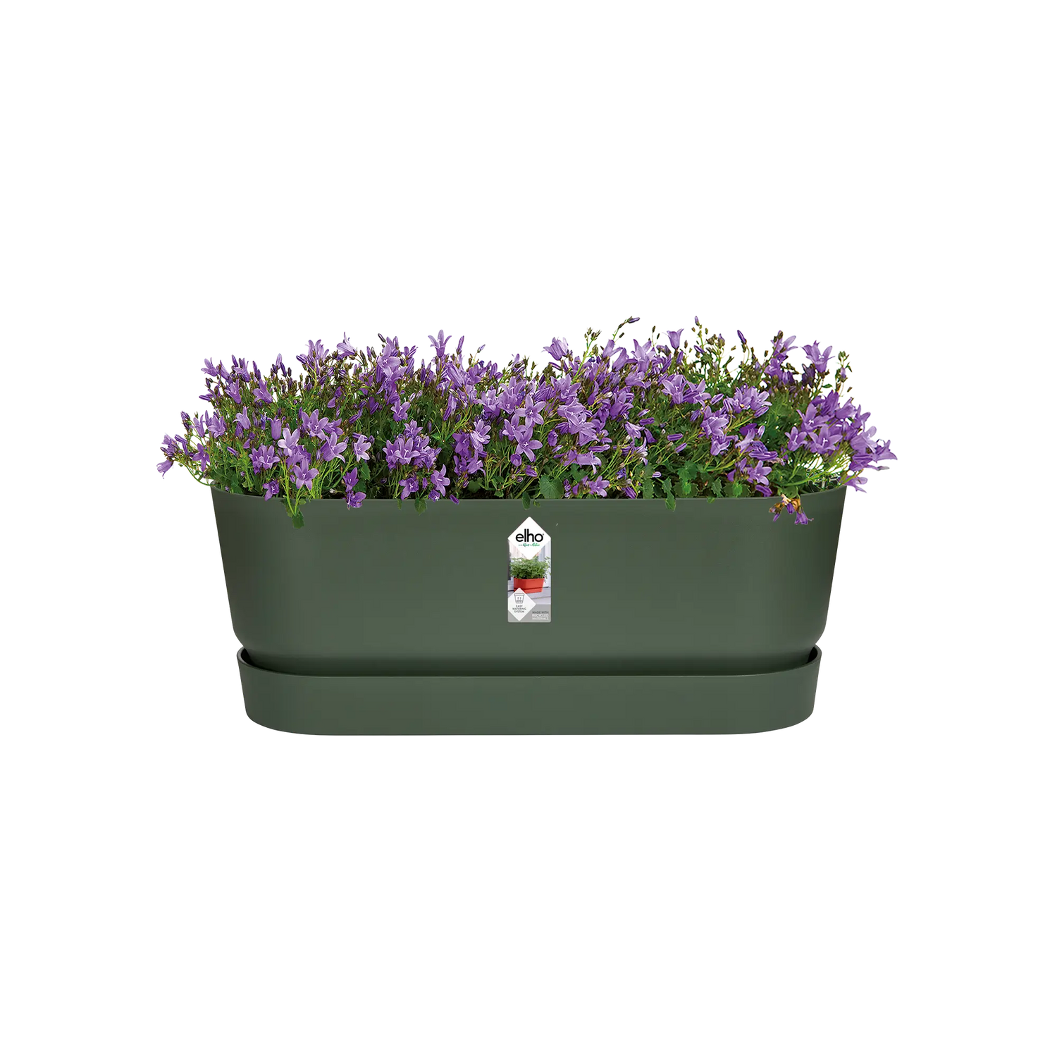 Greenville trough long