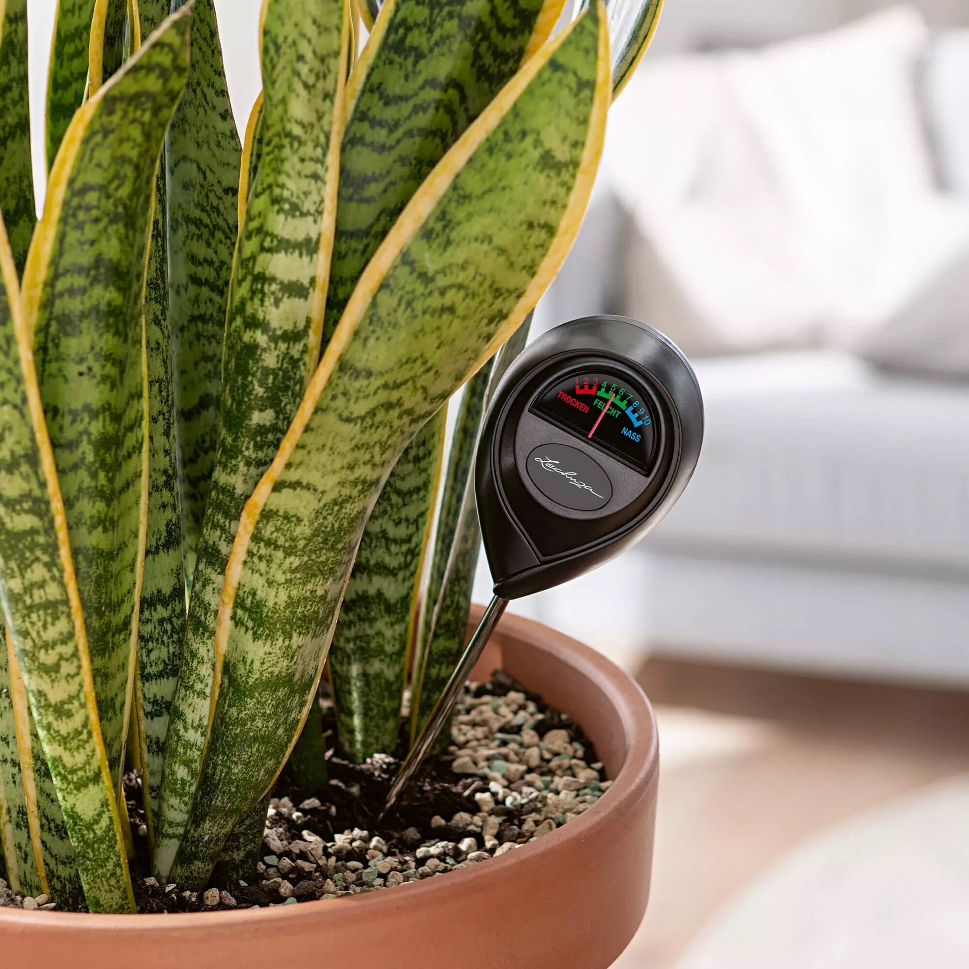MOISTURE METER Negru