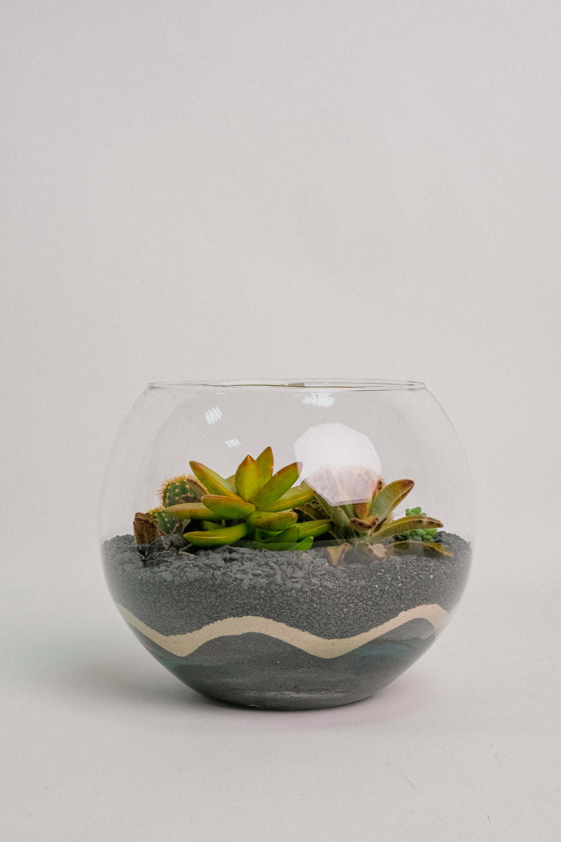 Terariu Suc Cacti Negru