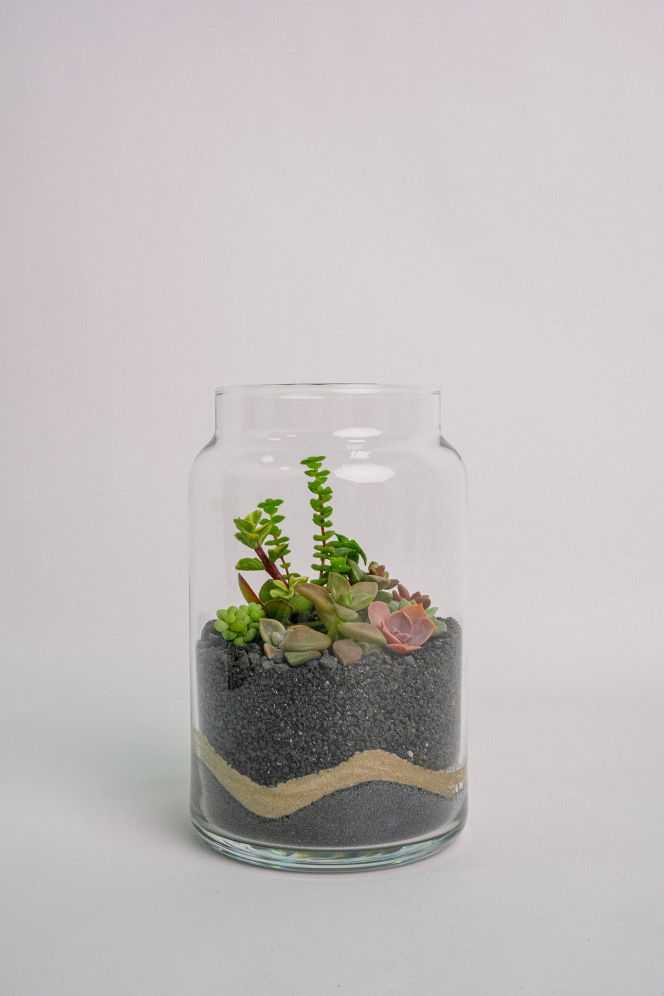 Terariu Suc Cacti Negru