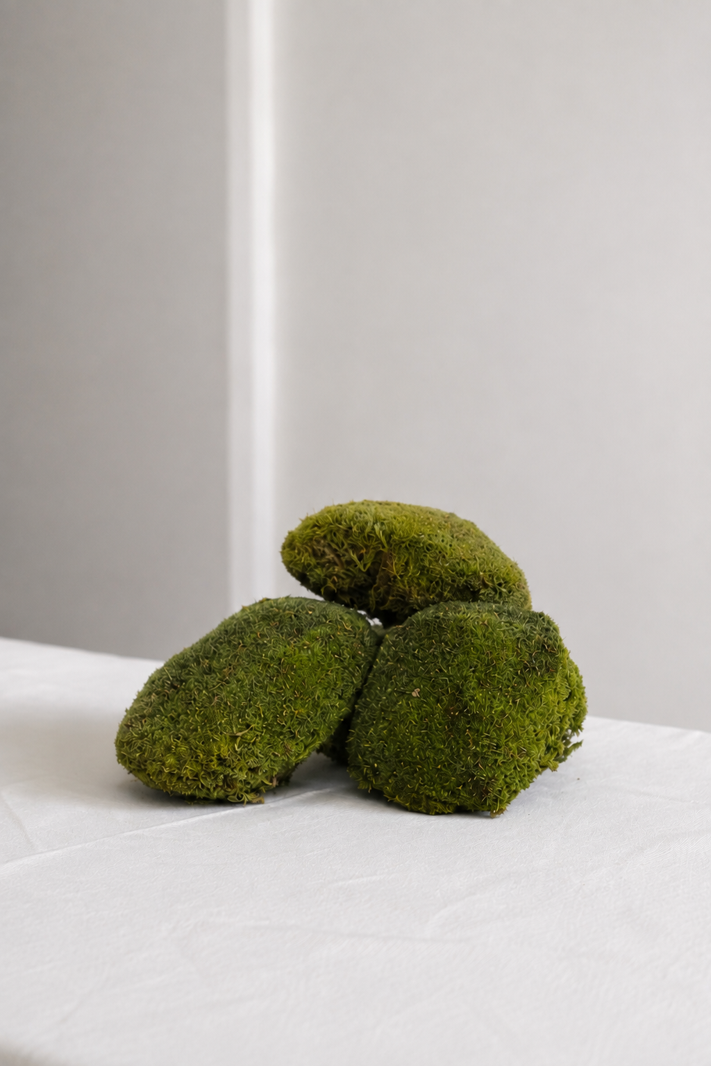Mușchi Decor Ø20 · 20 cm