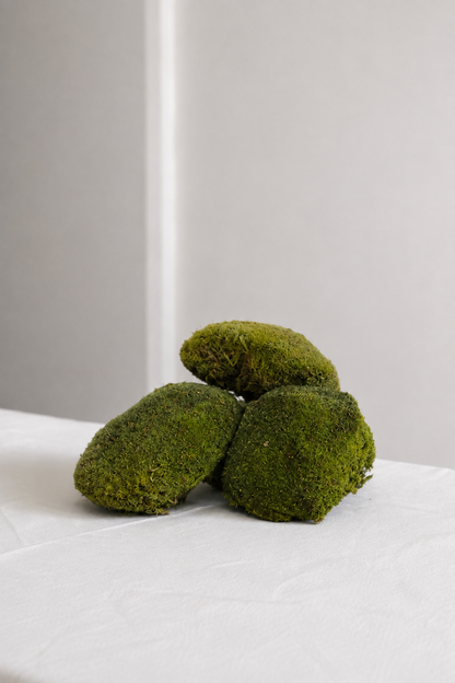 Mușchi Decor Ø20 · 20 cm