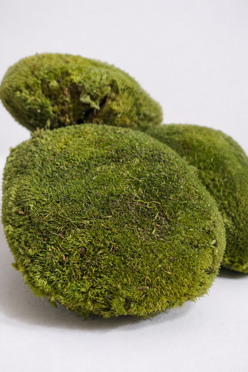 Mușchi Decor Ø20 · 20 cm