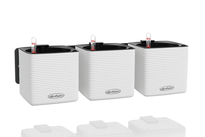 Green Wall CUBE Color 14