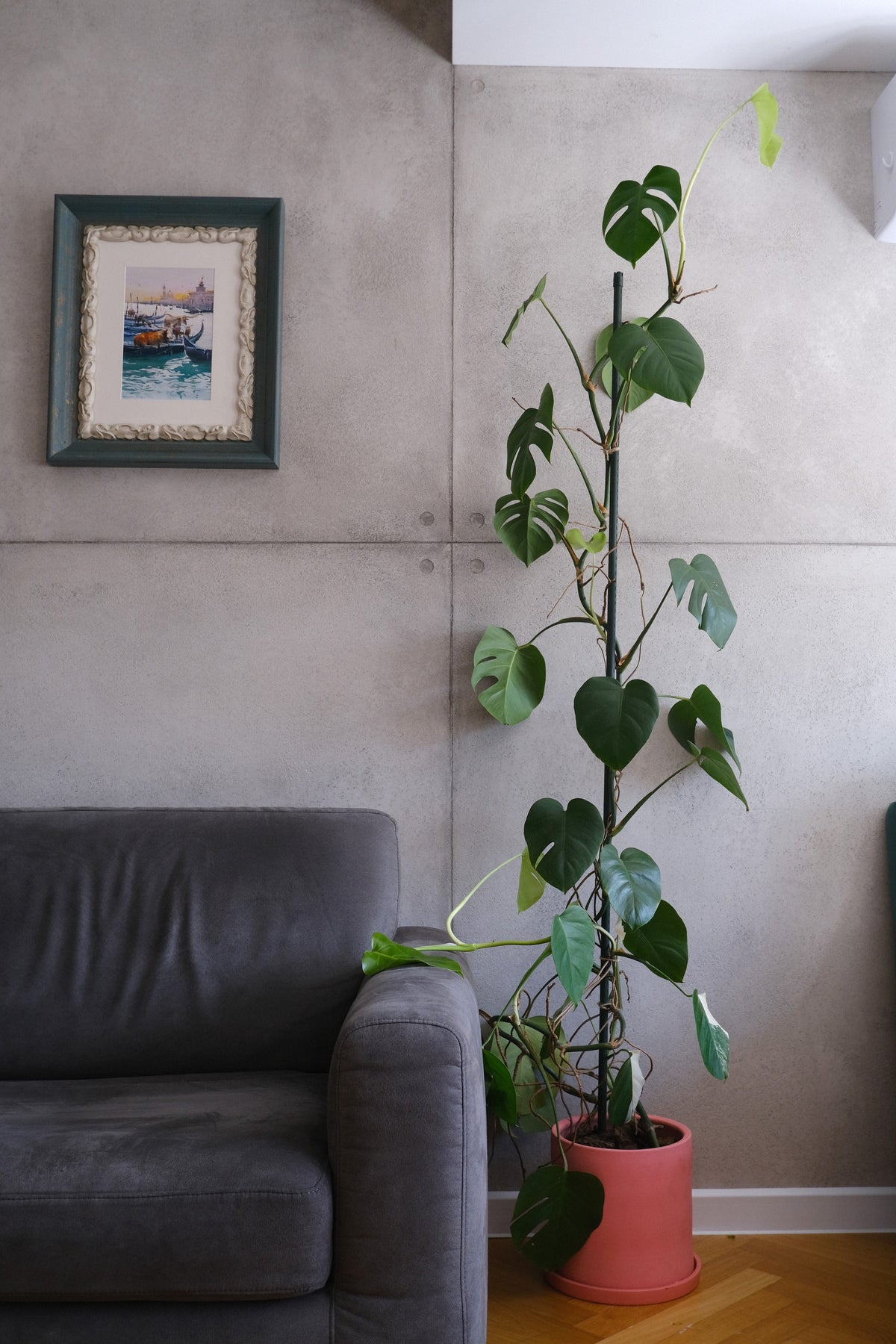 Apartament Alina Lisenco