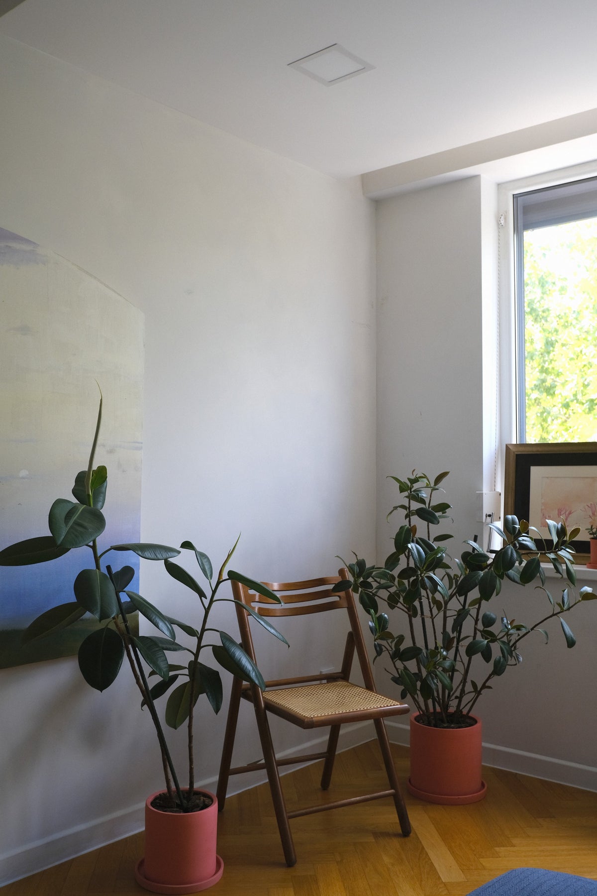 Apartament Alina Lisenco