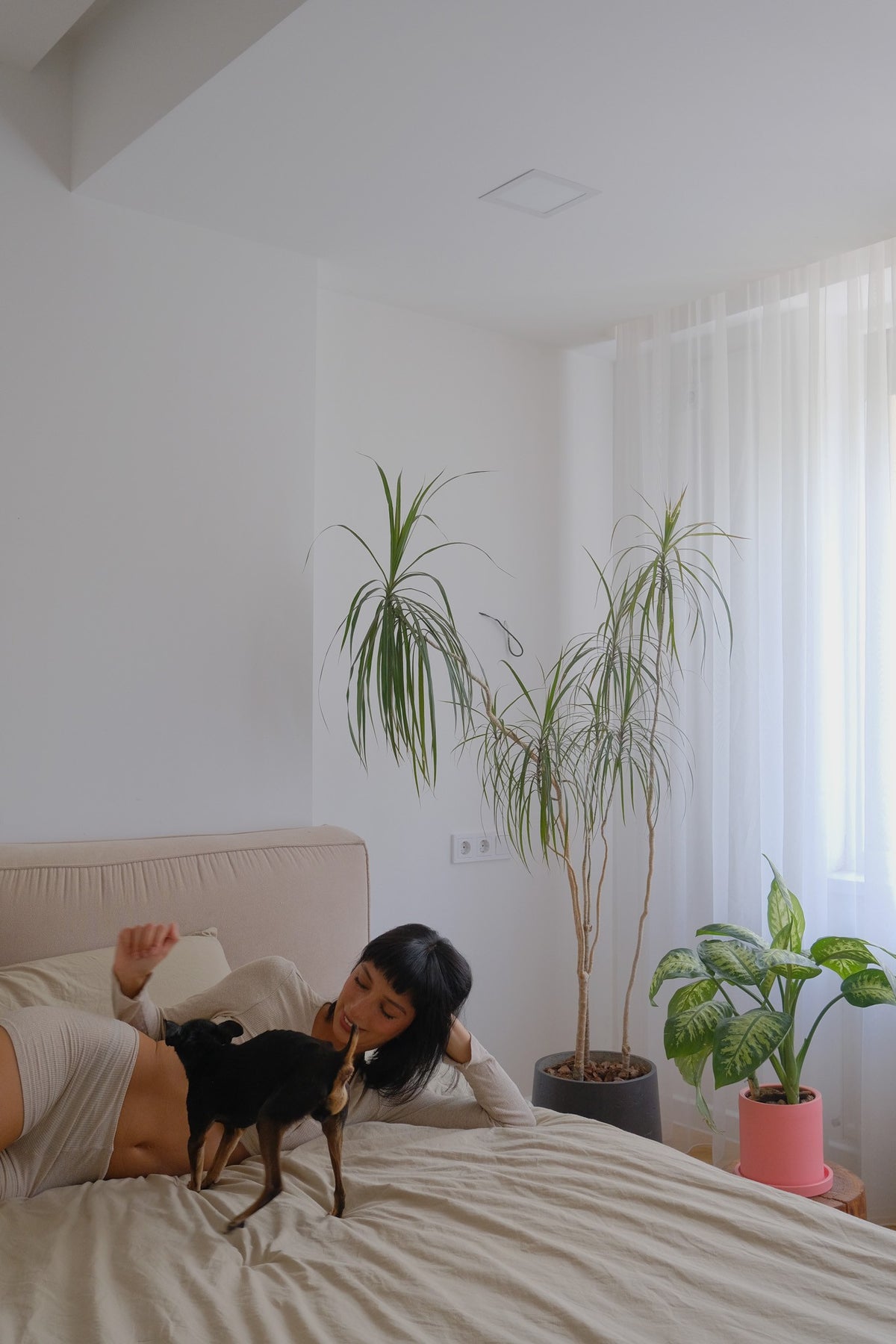Apartament Alina Lisenco