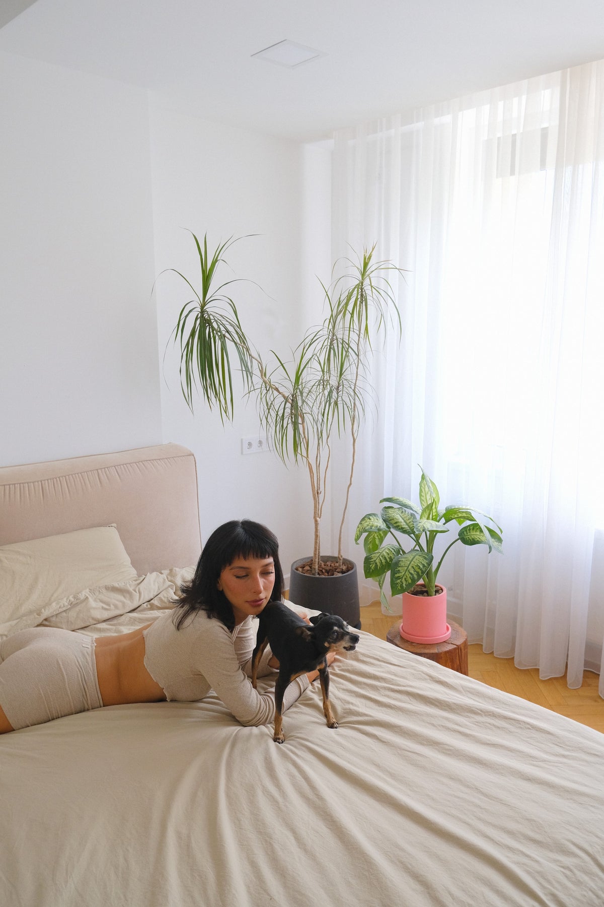 Apartament Alina Lisenco