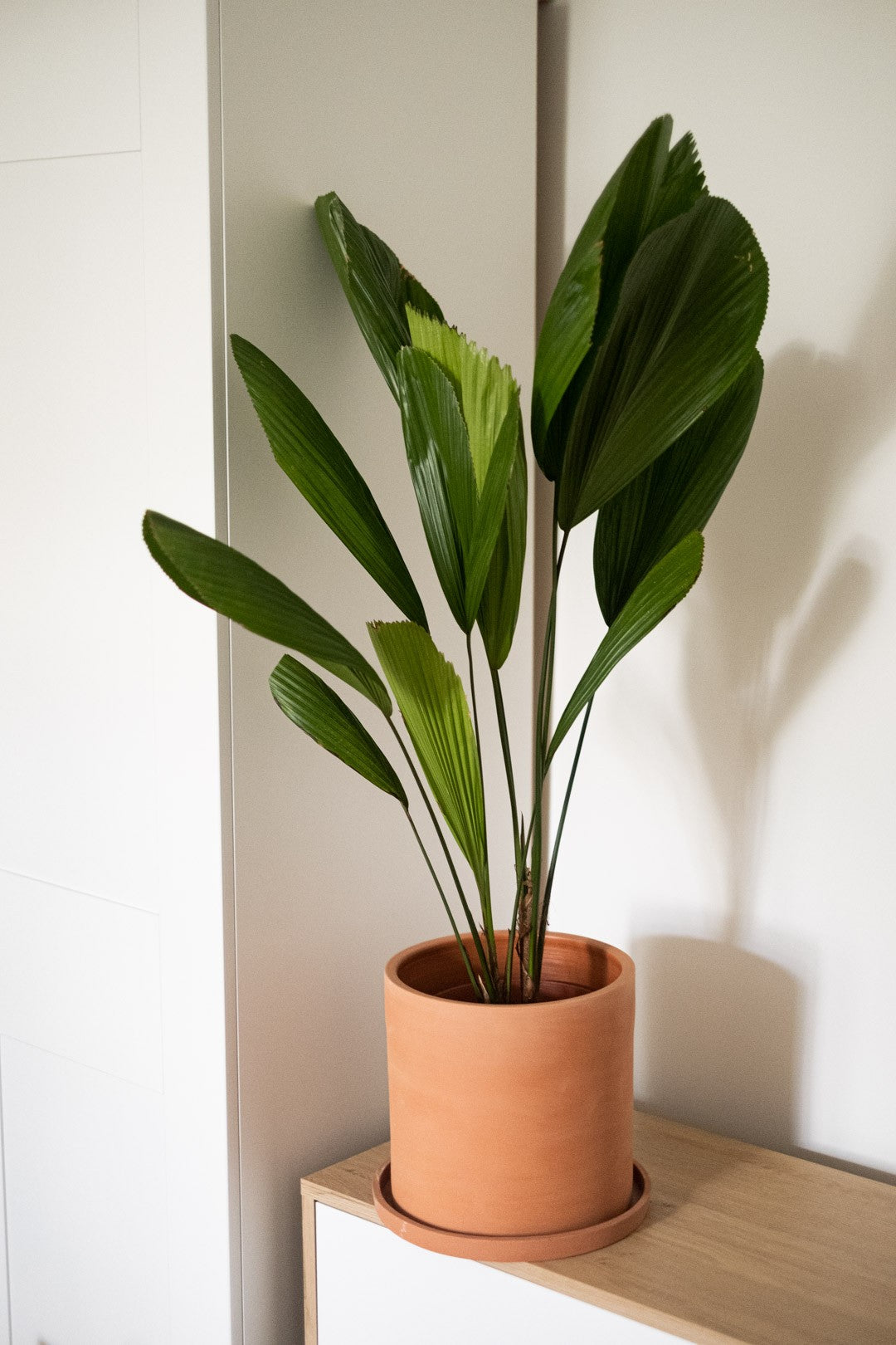 Apartament privat