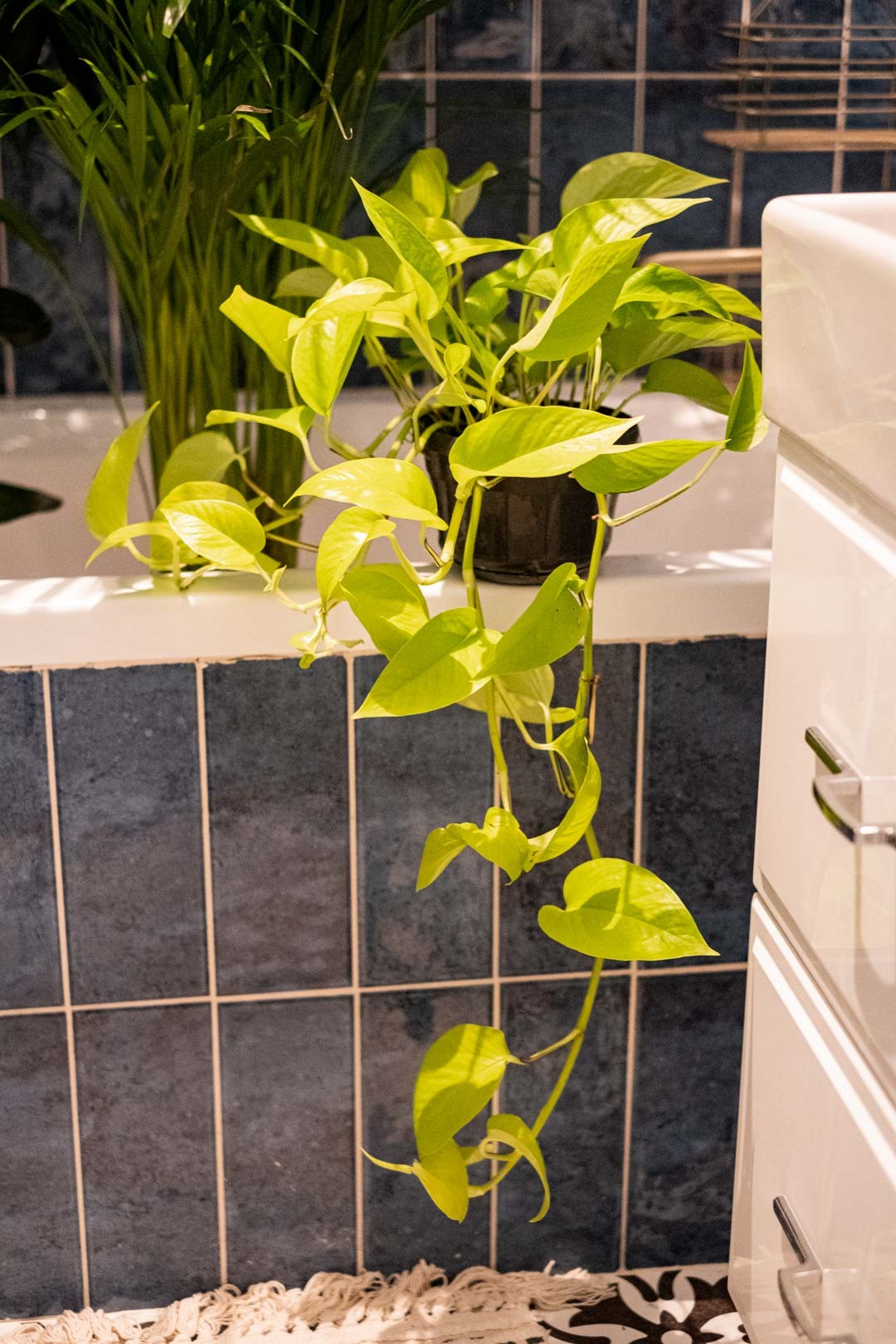 Apartament privat
