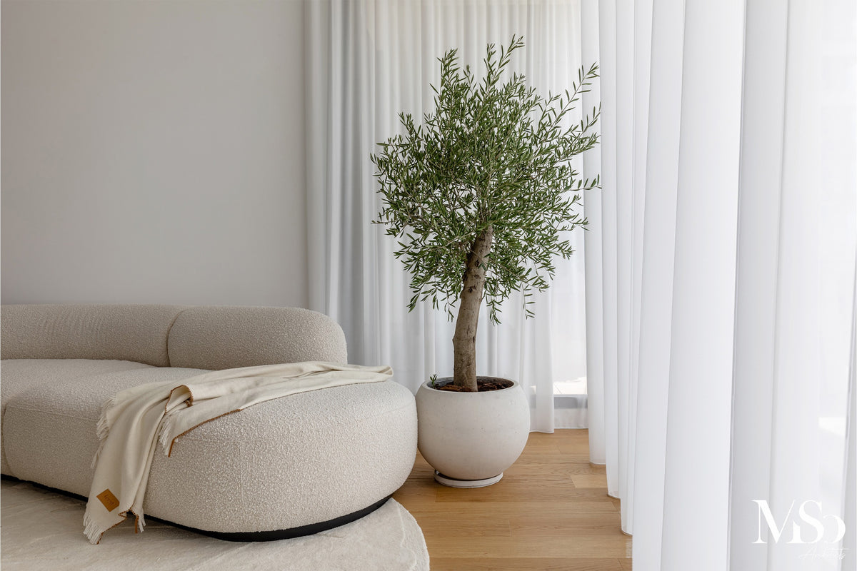 Apartament privat (colaborare MISO)