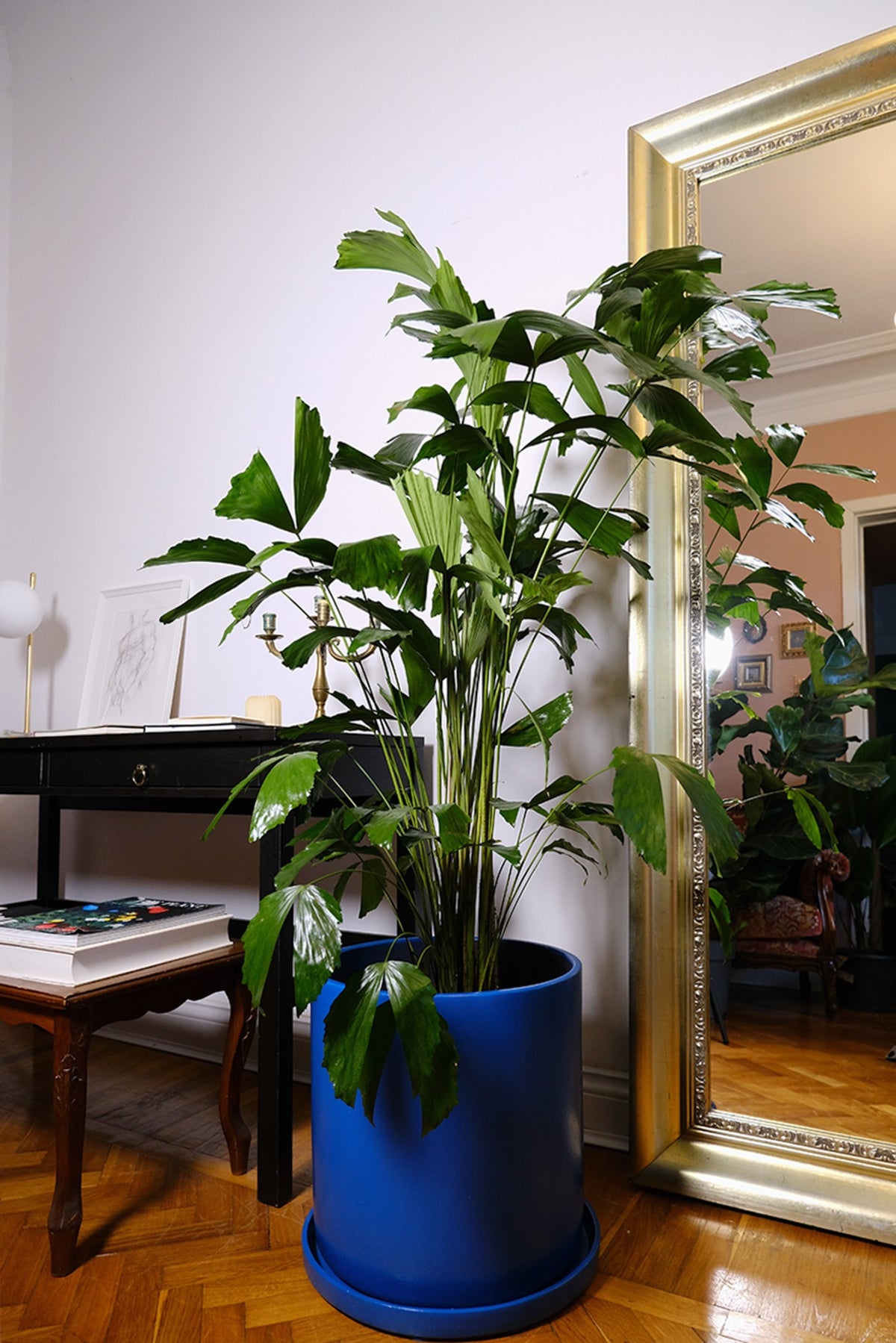 Apartament privat Radion
