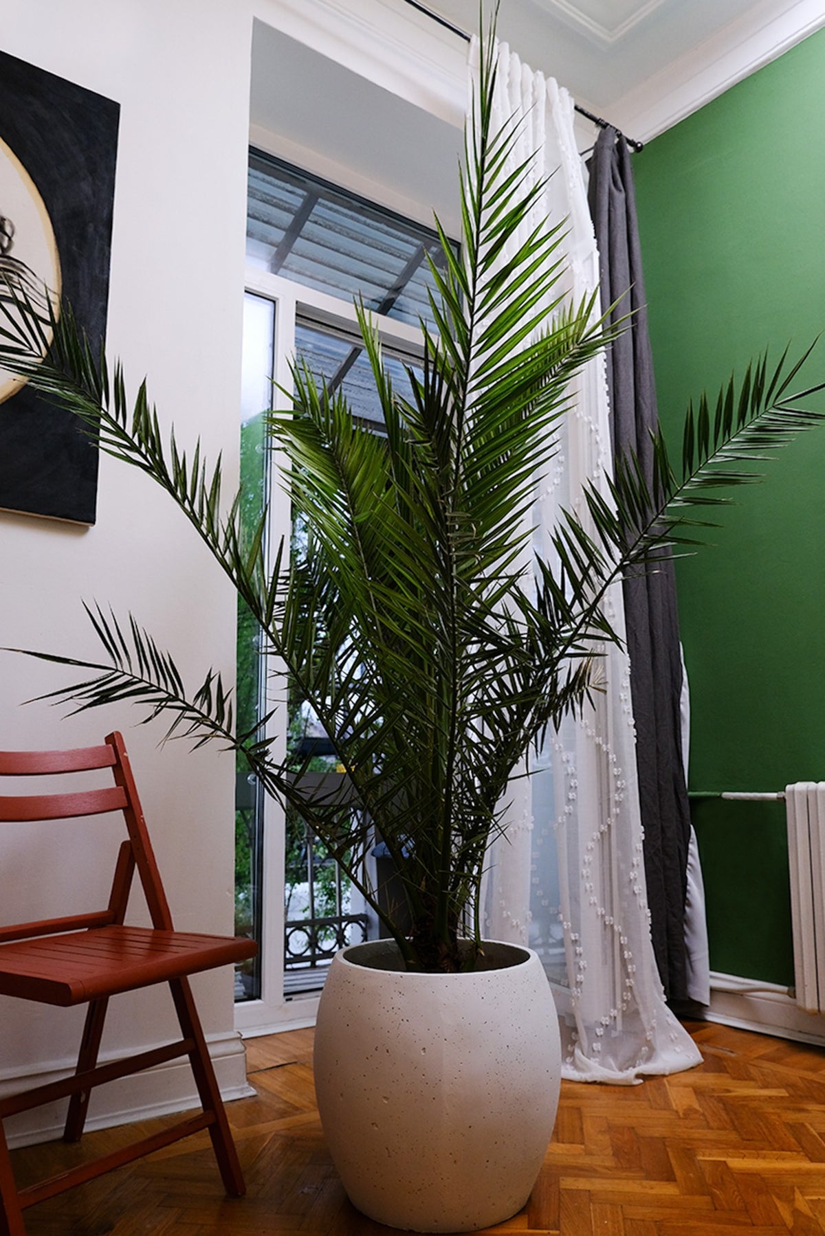 Apartament privat Radion