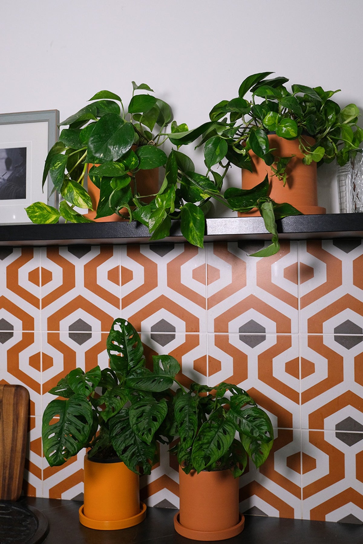 Apartament privat Radion
