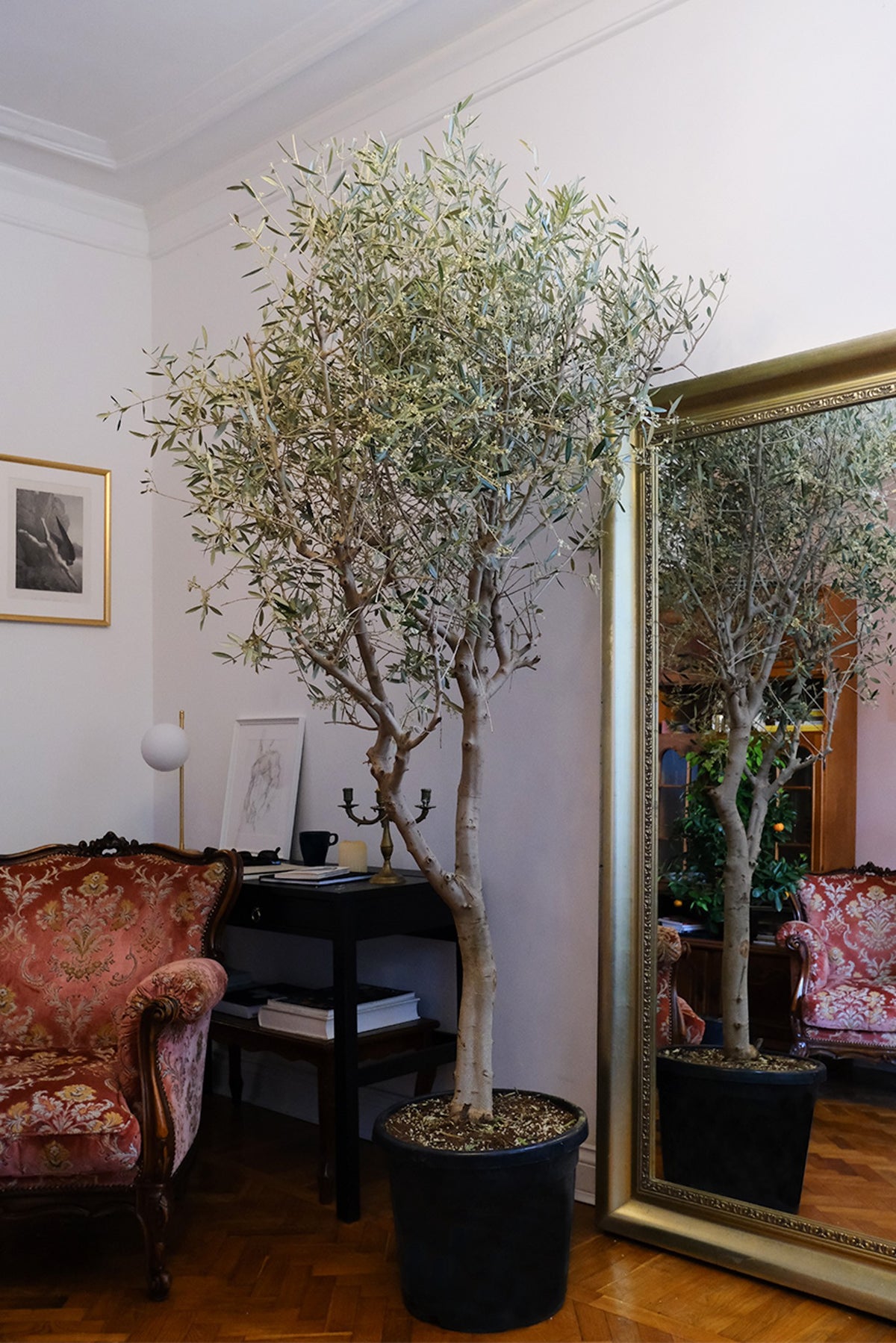 Apartament privat Radion
