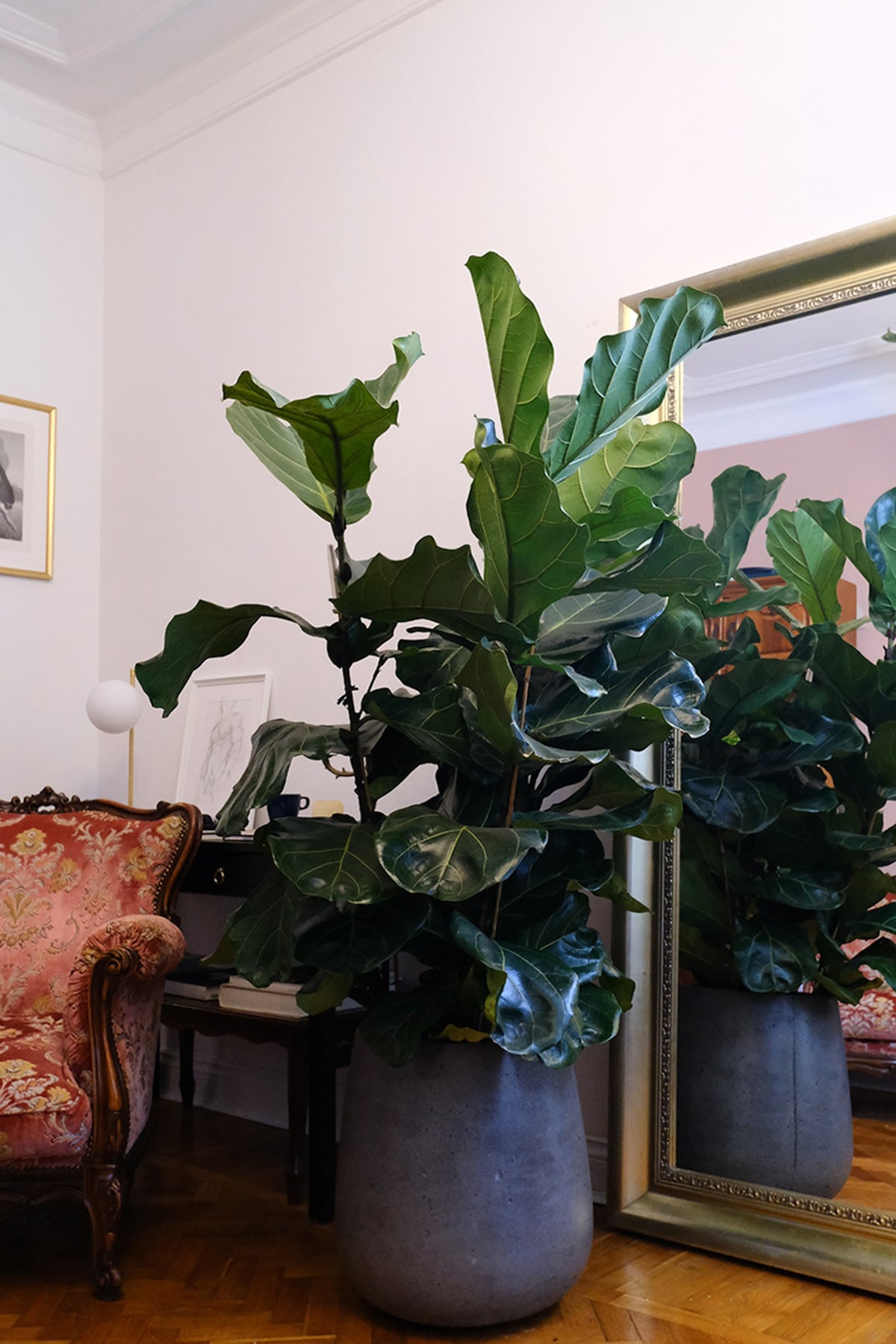 Apartament privat Radion