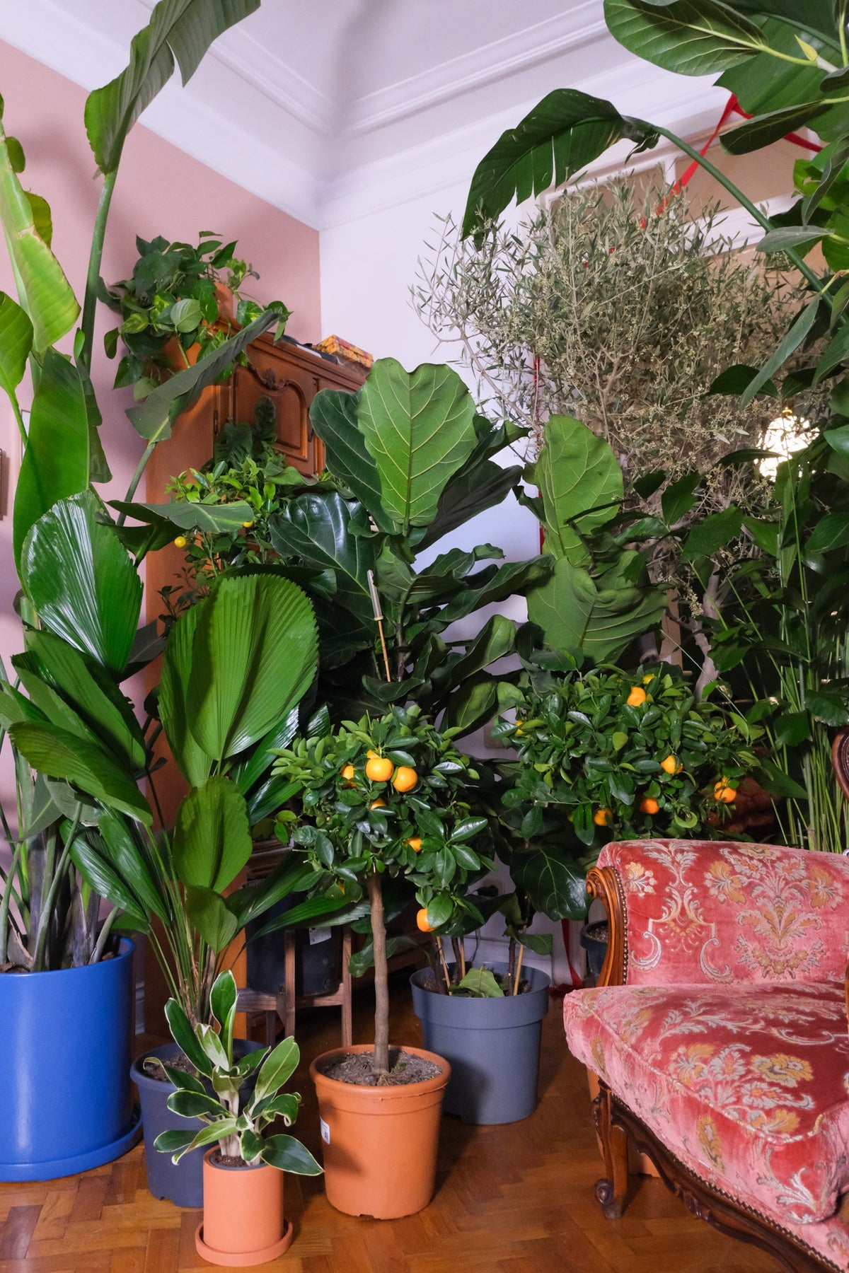 Apartament privat Radion