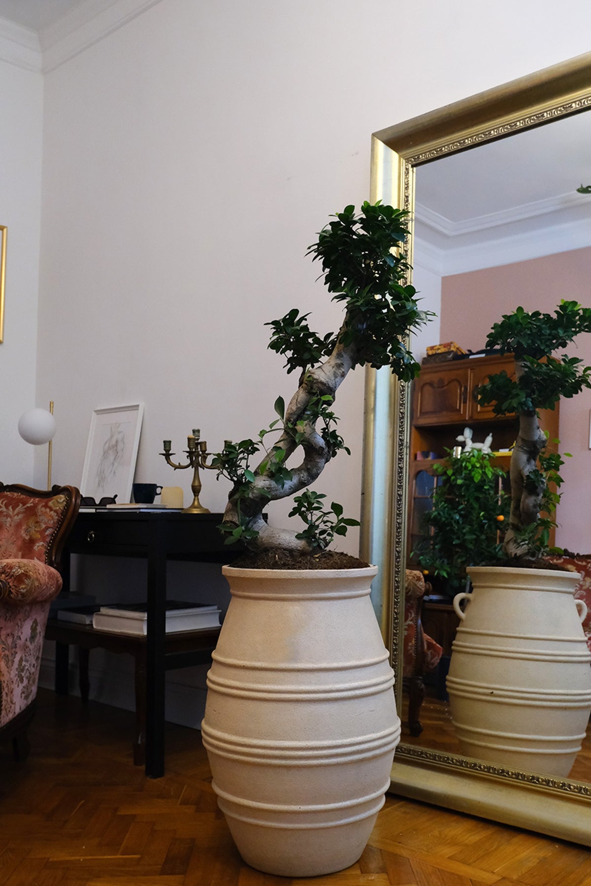 Apartament privat Radion