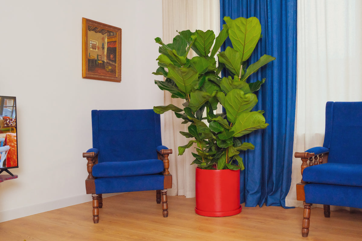 Apartament rezidențial