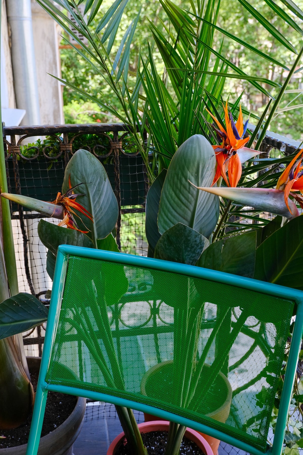 Balcon privat