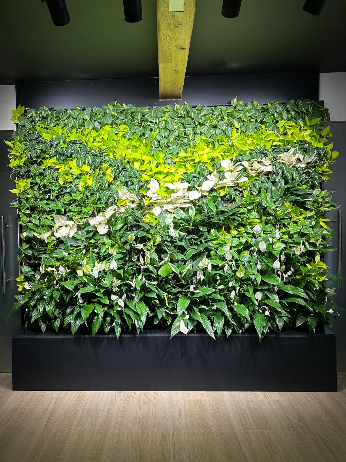 EcoSport Gym