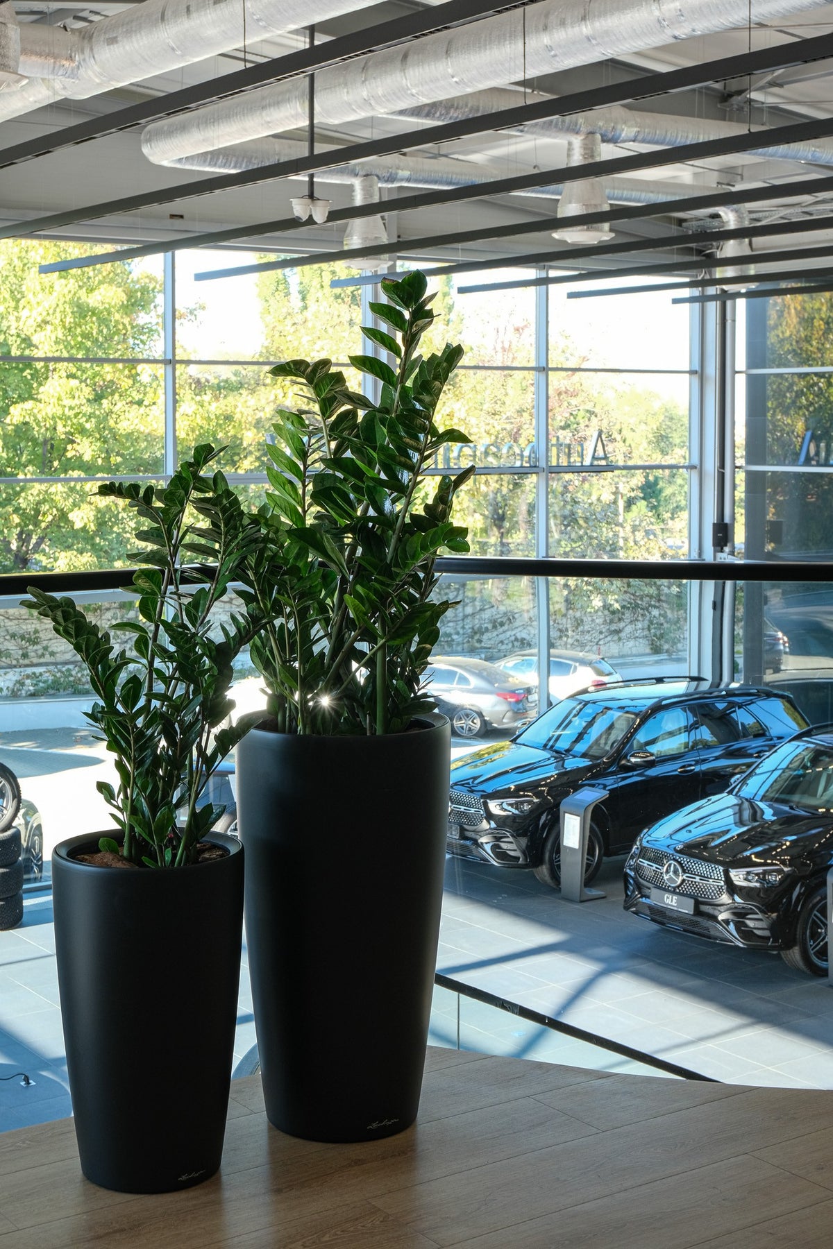 Mercedes Center