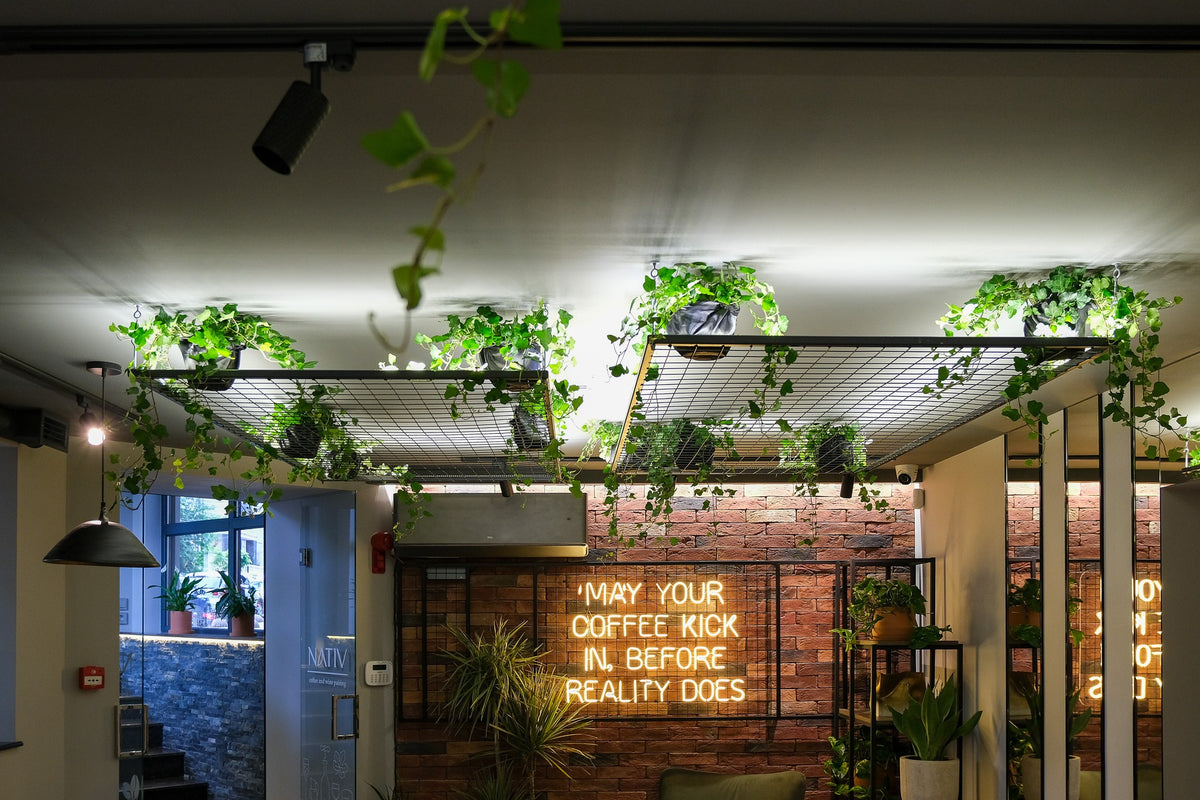 Nativ Café