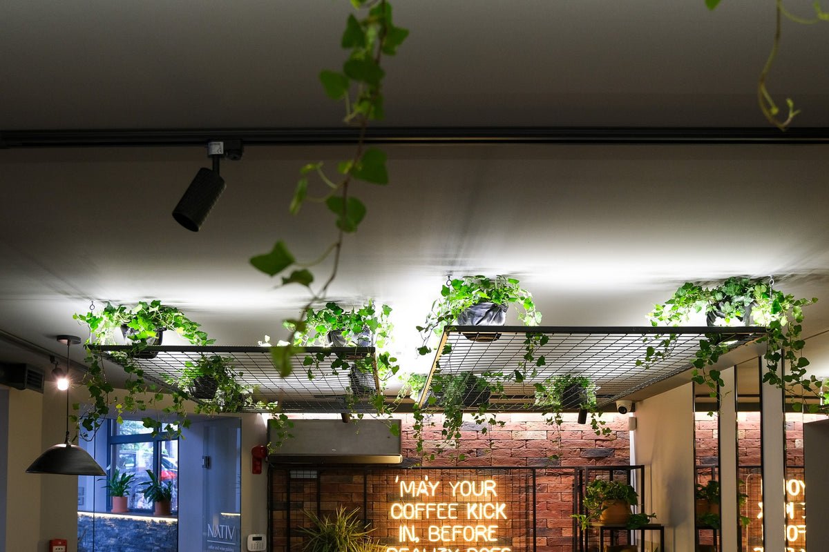 Nativ Café