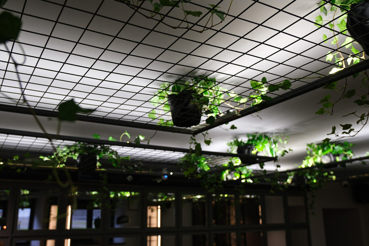 Nativ Café