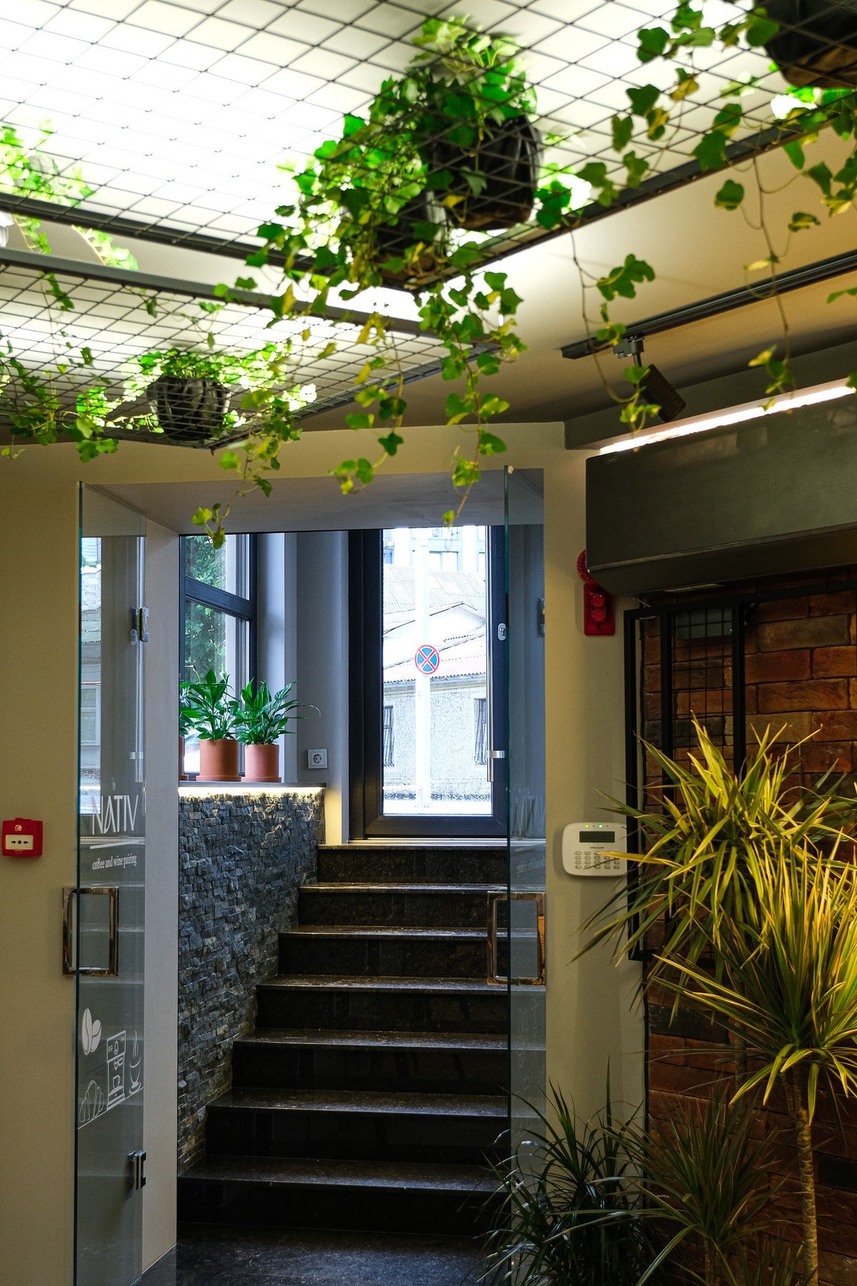 Nativ Café