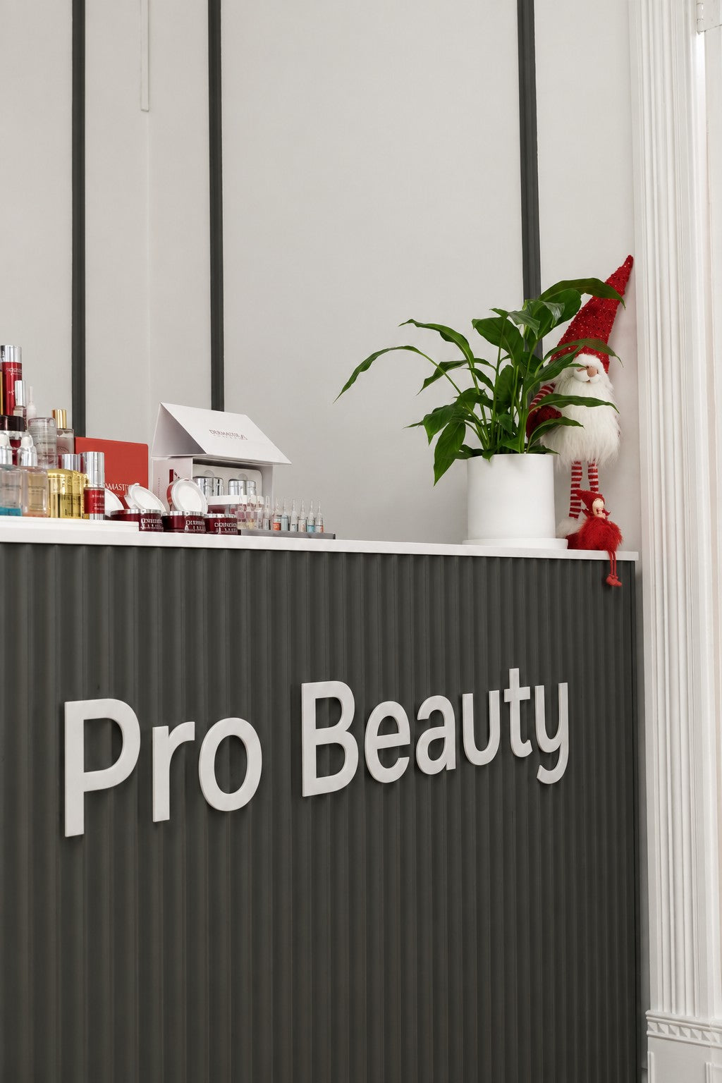 Pro Beauty