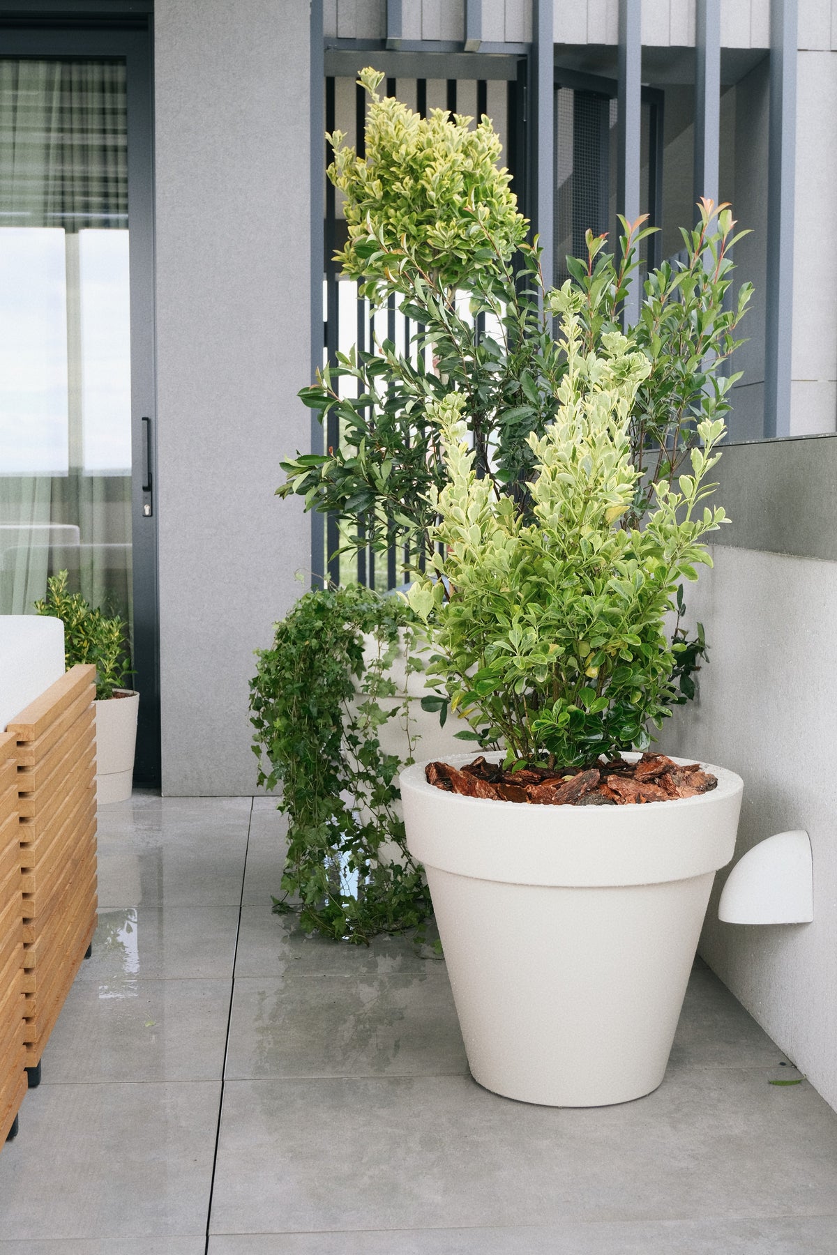 Terasă Doina Chiorescu