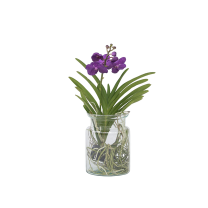 Vanda Mix Sticlă