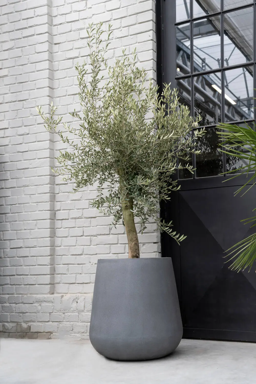 70459f4c-1975-41f5-8c8f-878147ca4a8a