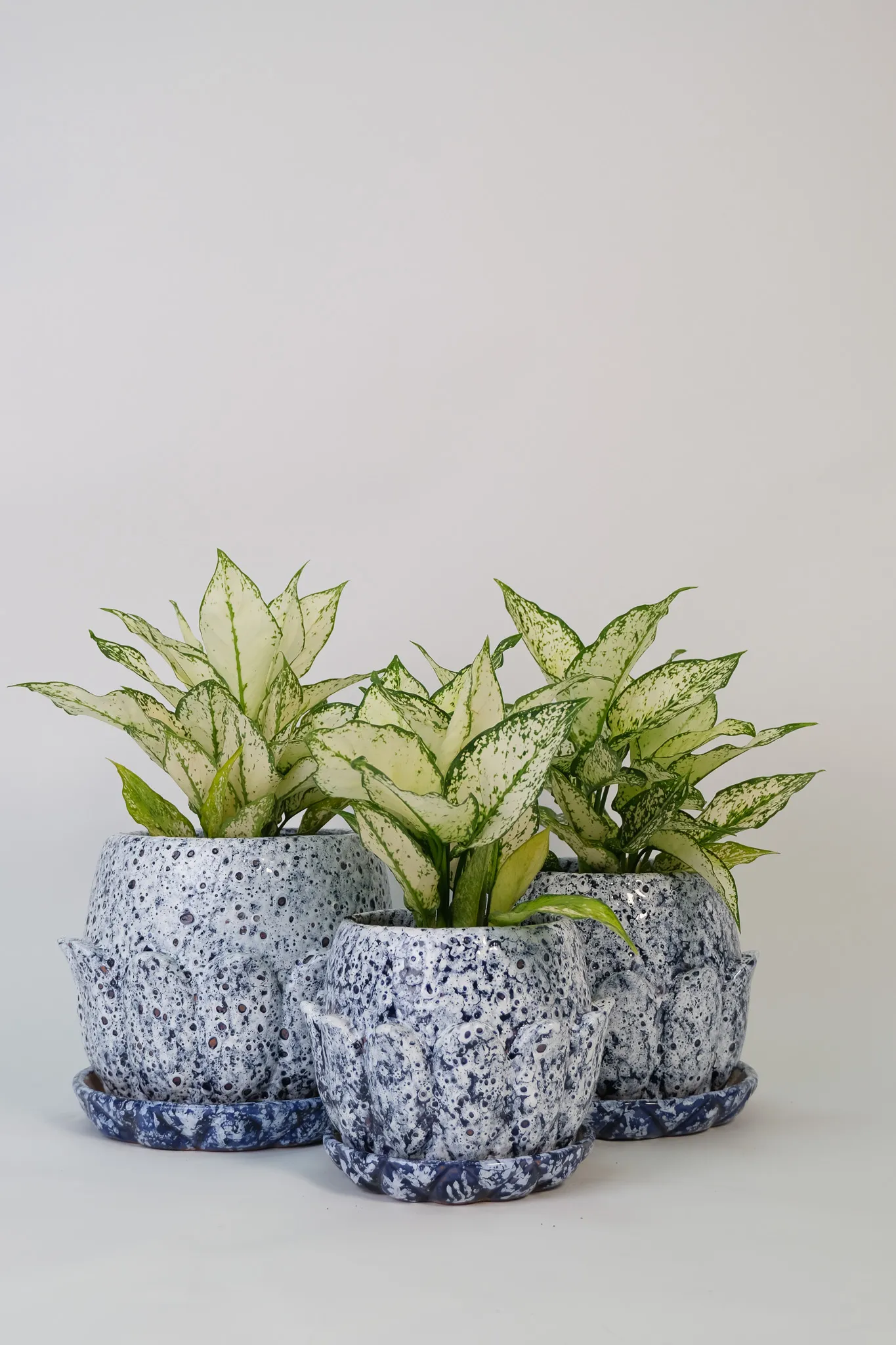 00_Ghiveci Argilă Boboc