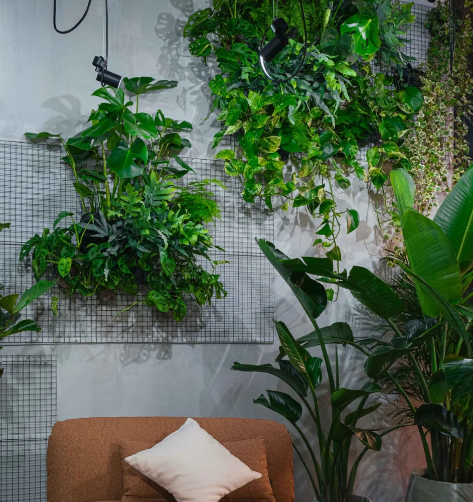 inverzire-(4321)_mobile